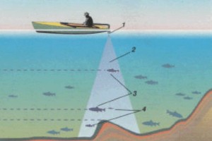 как работает рыболовный эхолот - читайте в 5Шоп